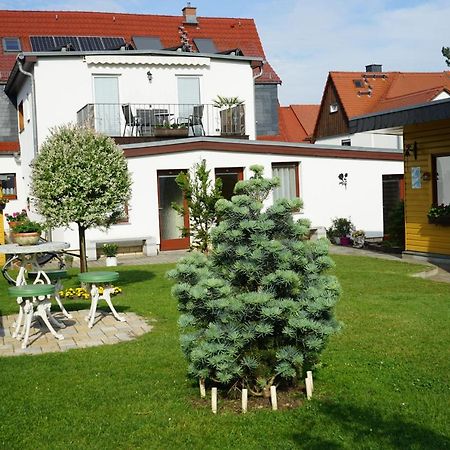 Pension Nr. 13 - B&B Пирна Екстериор снимка